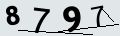 verifycode